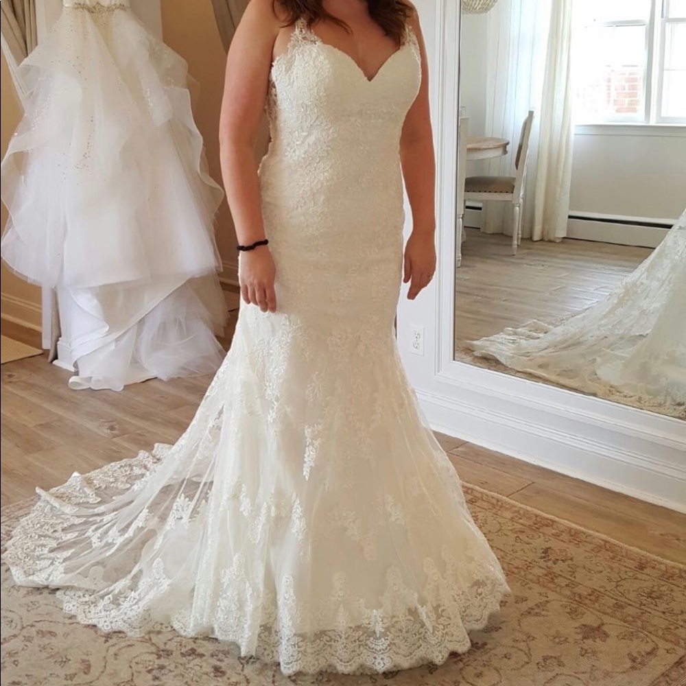 Stella York Lace Wedding Gown - sheer back